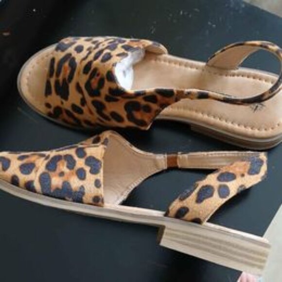 Shoes - Ladies Cougar Sandals